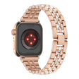 Riktigt Bra Apple Smartwatch Metall Universell Armband