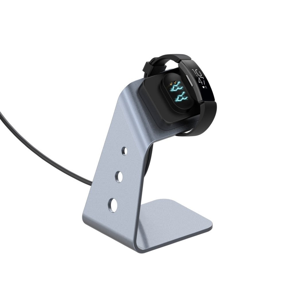Metal Fitbit Ace 2 / Fitbit Inspire Ladestation - Sølv#serie_2
